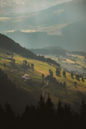 pexels-ahmetyuksek-33747010